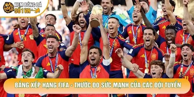 Bảng Xếp Hạng FIFA – Thước Đo Sức Mạnh Của Các Đội Tuyển
