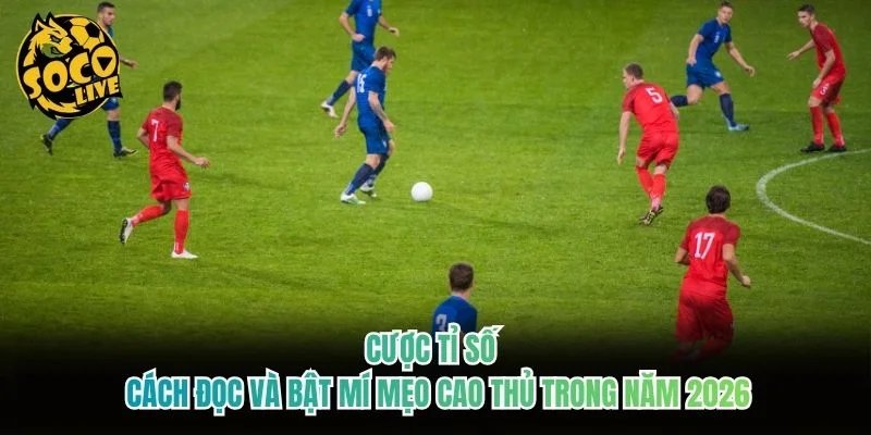 Cược Tỉ Số - Cách Đọc Và Bật Mí Mẹo Cao Thủ Trong Năm 2026