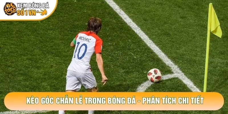 Kèo Góc Chẵn Lẻ Trong Bóng Đá – Phân Tích Chi Tiết