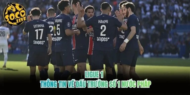 Ligue 1 - Thông Tin Về Đấu Trường Số 1 Nước Pháp