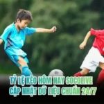 Tỷ Lệ Kèo Hôm Nay Socolive - Cập Nhật Dữ Liệu Chuẩn 24/7